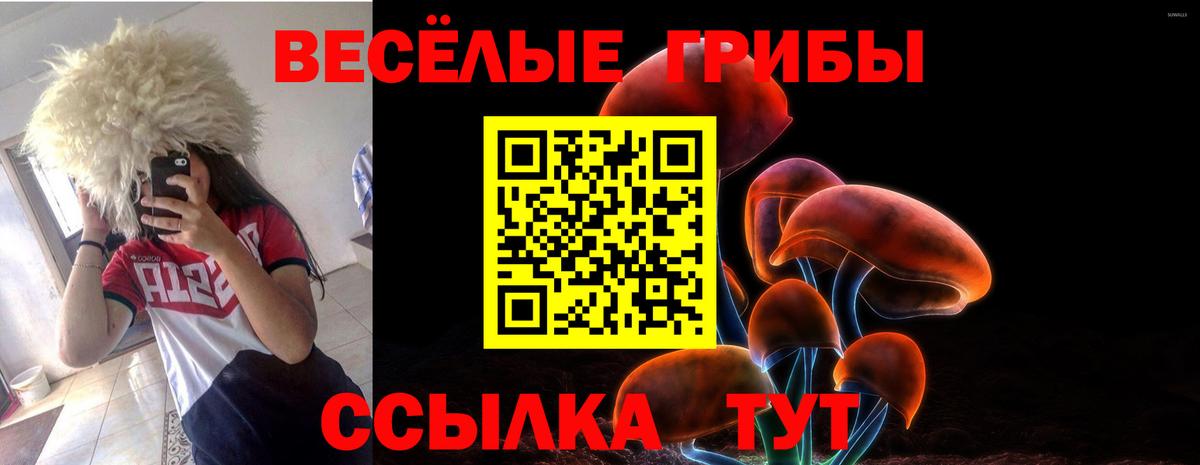дарнет шоп  Вход с VPN  Северодвинск  Псилоцибиновые грибы Psilocybe 